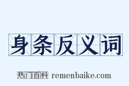 身条反义词是什么意思的图片